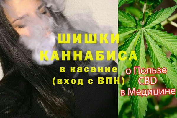спайс Богородск