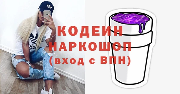 дживик Богородицк