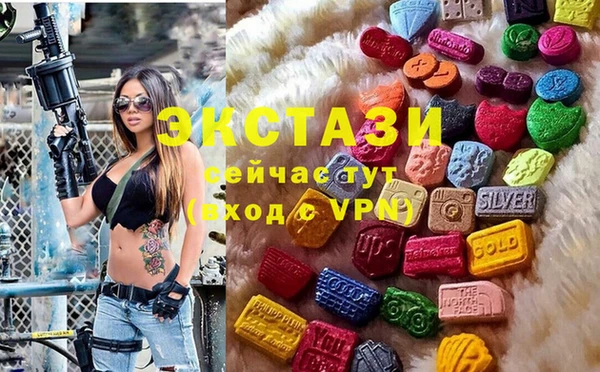 дживик Богородицк