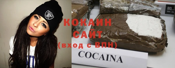 дживик Богородицк