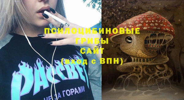 ALPHA PVP Богданович