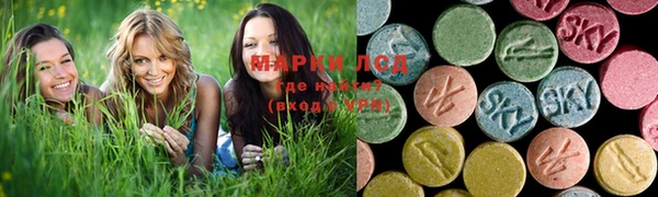 дживик Богородицк
