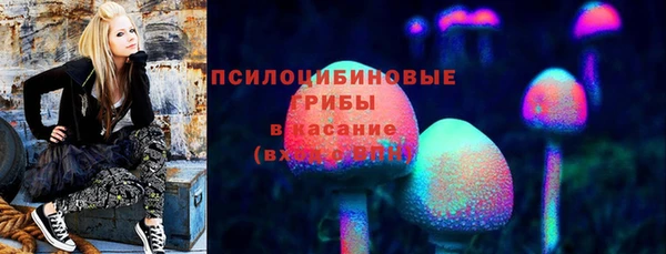 первитин Бородино