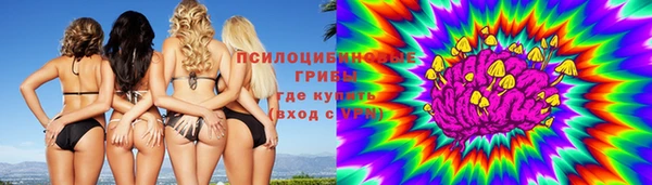 спайс Богородск