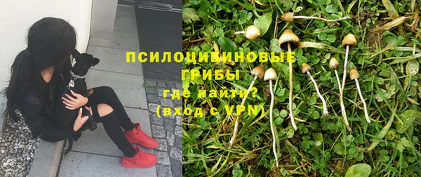 ALPHA PVP Богданович